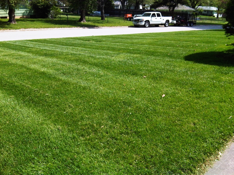 Residential Lawn Mowing in Raytown, MO - ALPM Clients Image-1