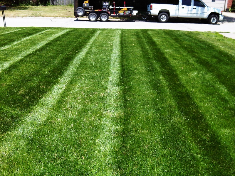 Residential Lawn Mowing in Raytown, MO - ALPM Clients Image-7