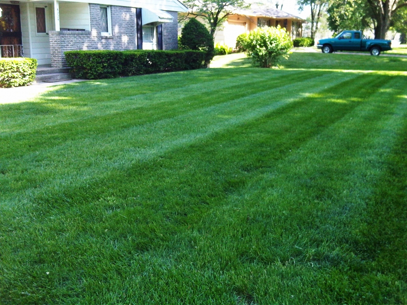 Residential Lawn Mowing in Raytown, MO - ALPM Clients Image-10