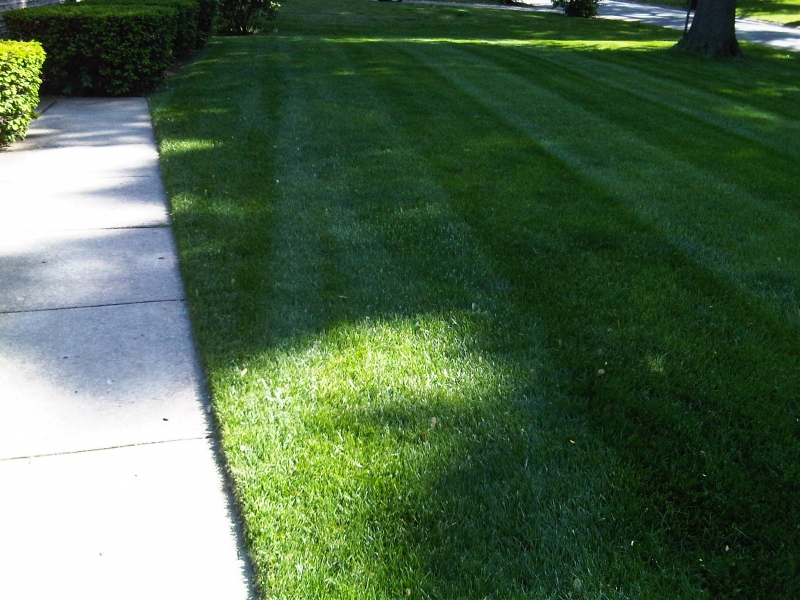 Residential Lawn Mowing in Raytown, MO - ALPM Clients Image-13