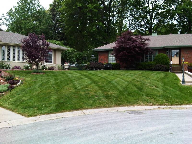 Residential Lawn Mowing in Independence, MO - ALPM Clients Image-14