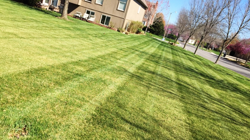 Residential Lawn Mowing in Lee's Summit - ALPM Clients Image-1