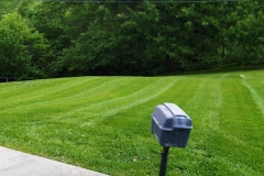 Residential Lawn Mowing in Raytown, MO - ALPM Clients Image-4