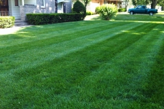 Residential Lawn Mowing in Raytown, MO - ALPM Clients Image-10