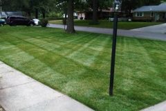 Residential Lawn Mowing in Raytown, MO - ALPM Clients Image-17