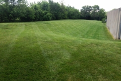 Commercial Lawn Mowing in Raytown - ALPM Clients Image-6