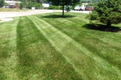 Commercial Lawn Mowing in Raytown - ALPM Clients Image-1