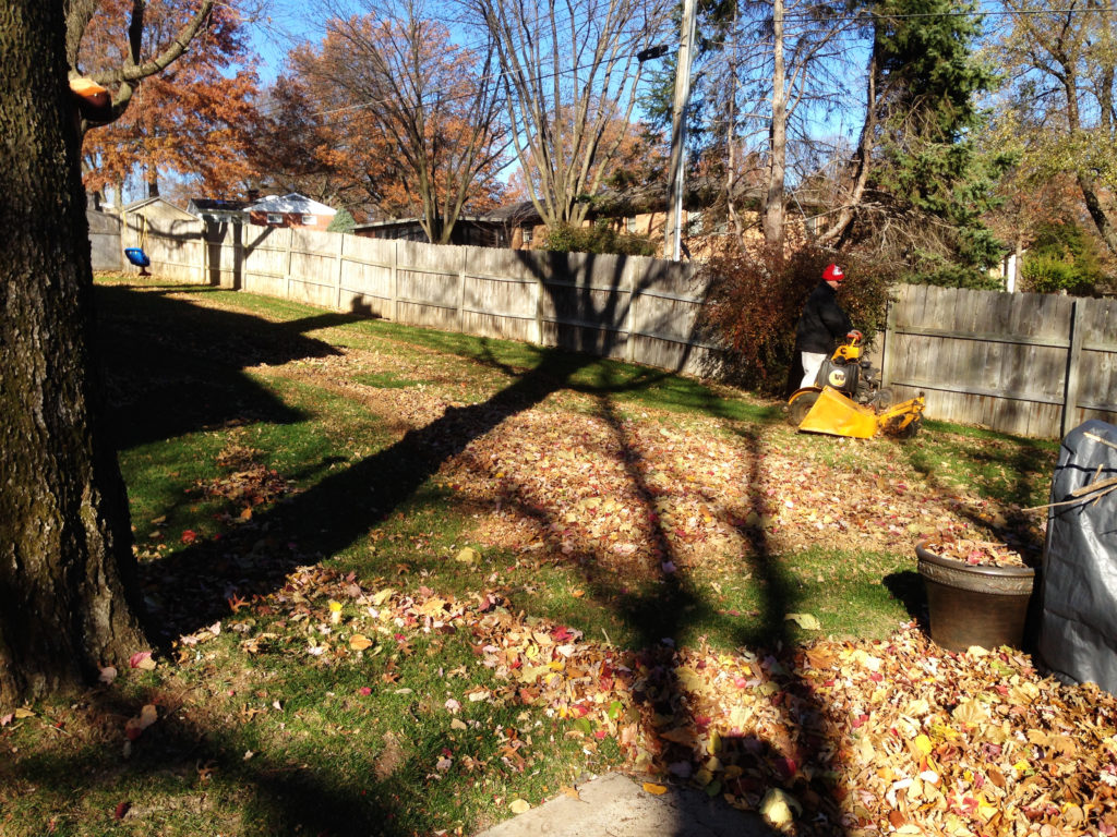 Leaf removal service from American Lawn Property Maintenace LLC | Kansas City, MO