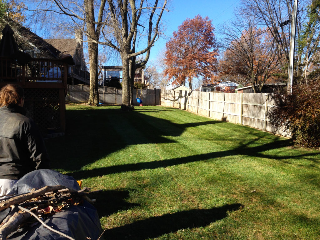 Leaf removal service from American Lawn Property Maintenace LLC | Raytown, MO